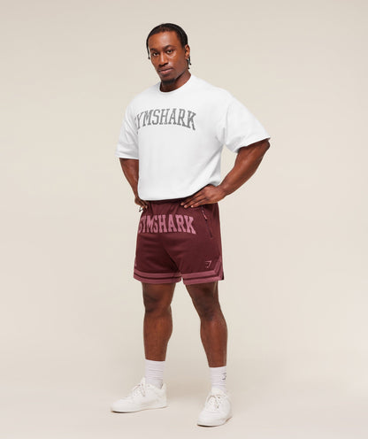 Campus Mesh Shorts - US 0409