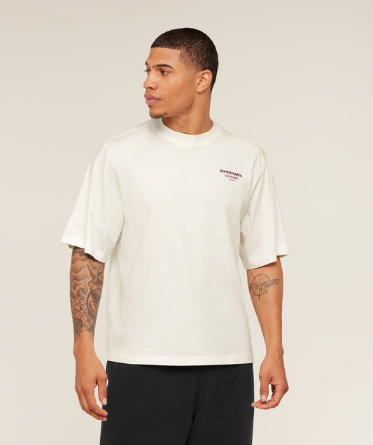 Strength Stars Washed Graphic T-Shirt - US 5241